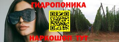 PSILOCYBIN Малоярославец